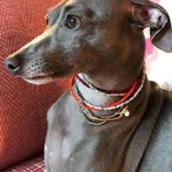 India Hicks Eclipse Necklace - Flamingo NWT - Picture 6 of 6